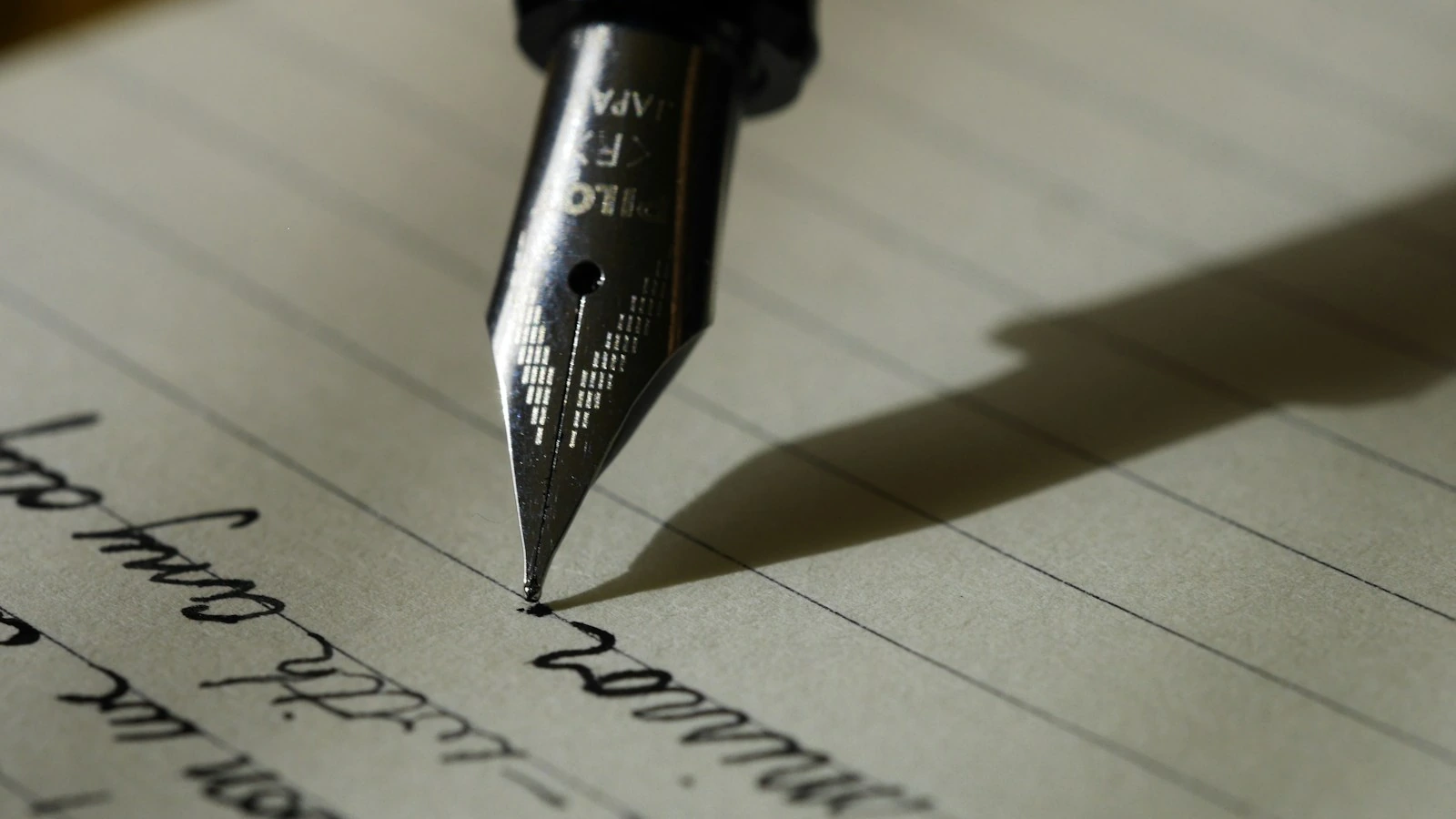 Script & Story Development